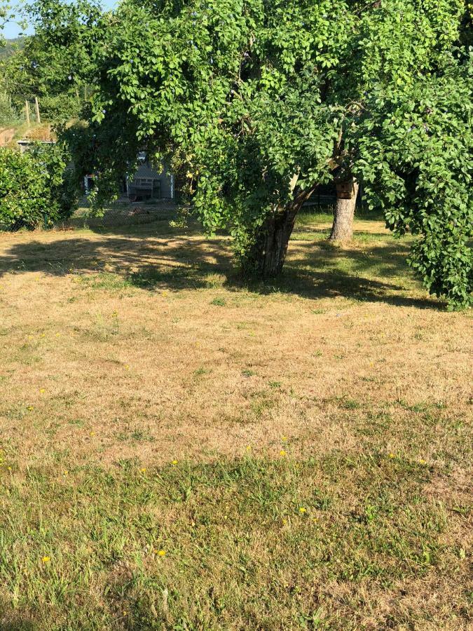 Ferienimspessart Og Leilighet Bad Soden-Salmünster Eksteriør bilde
